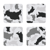 Russia Arctic Sublimation Coasters Pack of Four - LocationCamo.com